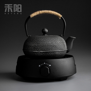 禾阳 日式铁壶铸铁煮茶壶家用烧水壶泡茶专用电陶炉煮茶器套装