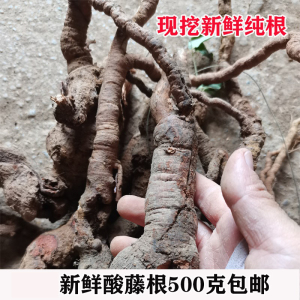 广西新鲜现挖新鲜酸藤子根 酸藤头根 酸藤果全草500克包邮