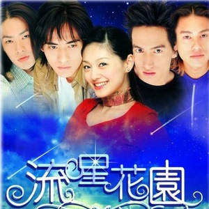 粤语台剧《流星花园1》4张碟片DVD