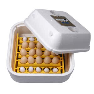 伊科贝特孵化器全自动家用型小型孵化机小鸡鸭鹅鸽子卵化器孵化箱