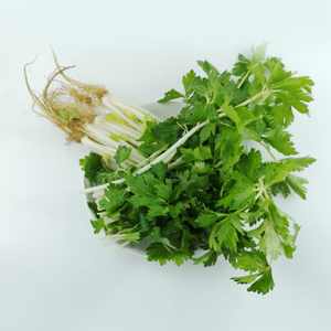 云南新鲜蔬菜 农家自种芹菜  新鲜蔬菜 带箱10斤