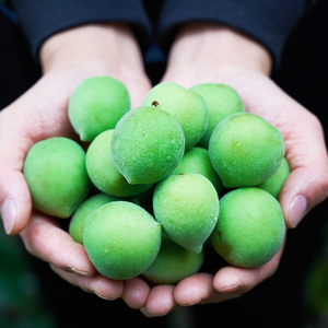 鲜青梅子果