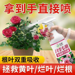 月季花肥料专用肥玫瑰花蔷薇促花爆花开花月季花专用营养液免稀释
