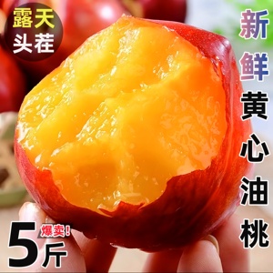 黄心油桃5斤当季甜大桃子新鲜水果整箱黄肉孕妇水果脆甜农家精选