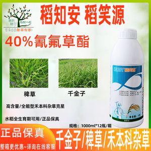 新安 稻知安40%氰氟草酯 水稻田稗草千金子禾本科杂草除草剂农药