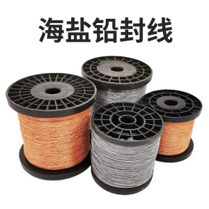 电表水表铅封丝钢丝绳铅封线锁扣一次性封签扎带工具天然气阀门条