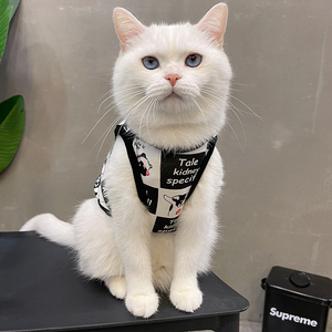 猫咪衣服夏季薄款无袖背心布偶猫宠物猫夏天防掉毛可爱猫猫蓝猫