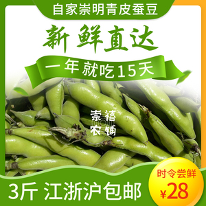 上海崇明特产蚕豆带壳青皮青肉时令蔬菜现摘先发