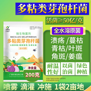 50亿/克多粘类芽孢杆菌根腐青枯软腐角斑种植作物叶斑姜瘟生物菌