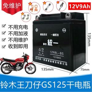 统一免维护蓄电池12V9A电瓶适用豪爵GS/GN125钻豹银豹男士摩托车