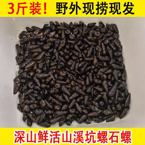 山坑螺野生产品的详细参数,实时报价,价格行情,优质批发/供应等信息
