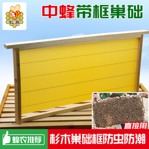 长冀中蜂带框巢础蜂具养蜂专用工具中蜂巢框成品蜜蜂蜂箱全套批发