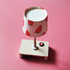 diy小台灯科技小制作小发明废物利用小学生手工制作材料科学实验