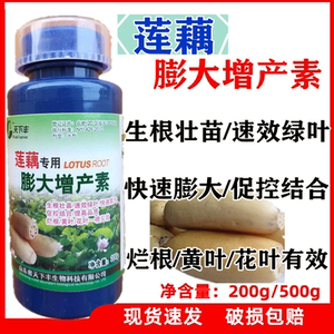 莲藕专用肥料马蹄荸荠慈姑水田根茎膨大素叶面肥生根增产膨大剂