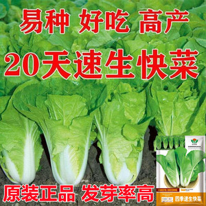 快菜种子奶油小白菜籽四季播20天春夏秋冬季种青农家蔬菜种孑阳台