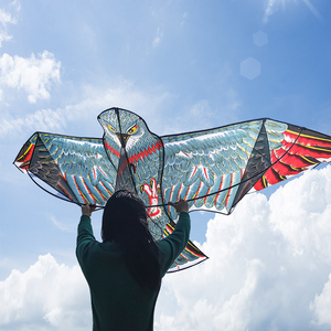 老鹰风筝大钢鹰