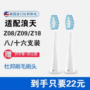 适配langtian浪天电动牙刷刷头成人替换lt-z18/z09/z08通用牙刷头