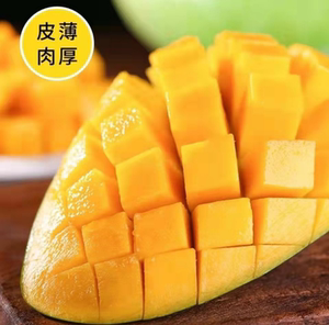 越南进口青芒9斤特大芒果当季新鲜大金煌芒青芒果