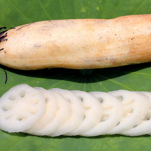 湖北莲藕洪湖脆藕鲜甜脆嫩生吃清炒水果莲藕时令新鲜嫩蔬菜清水藕