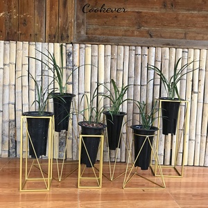 vfp旗舰店天猫兰花架铁艺塑料兰花盆专用支架白色花架落地式4孔8孔