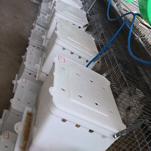 兔子产仔箱繁殖