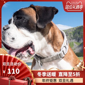 中型哈士奇项圈悍拓探险大型狗小型犬法斗金毛狗狗脖套