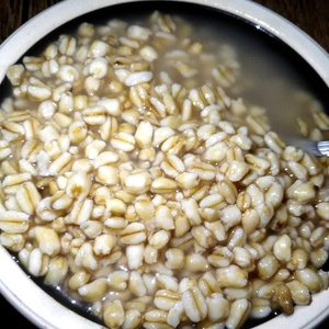 麦仁酒安徽阜阳特产麦仁酵子河南麦酵米酒酿甜醅麦窖甜胚子麦仁糟