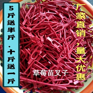 草莓育苗叉子压苗西瓜甜瓜叉固定生根大棚压蔓器卡子农用种植藤蔓