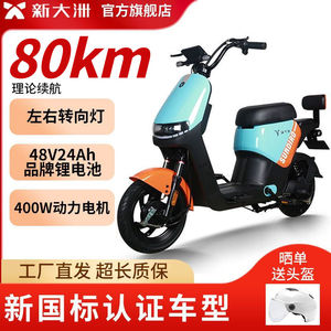 新大洲新国标电动车48V24A星恒锂电池可提取电瓶车浙江上海可上牌