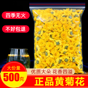 黄菊花茶特级散装黄山贡菊500g正品大朵婺源皇菊清热菊花茶