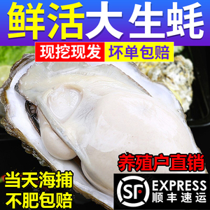 新鲜生蚝特大海蛎子5斤装带壳鲜活水产生鲜带箱冰鲜牡蛎整箱海鲜