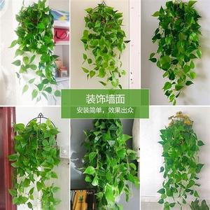 垂吊家里墙挂装饰花假花植物掉挂件吊蓝挂饰仿真吊兰篮教室洗手间