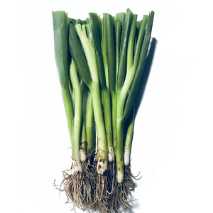 绿源禾心 正宗山东小葱新鲜带根5斤东北小葱农家蔬菜特级香葱