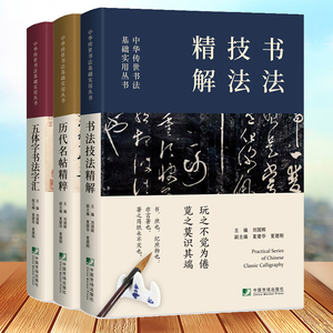 3册套装 中国传世书法技法精解+书法字典+历代名帖鉴赏 楷书行书隶篆草书培训教程 曹全碑九成宫醴泉铭兰亭序等碑帖字帖五体字查询