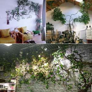 墙面展厅榕树摆设干枝花草芒果叶文艺绿色绿化造景花艺假树枝个性