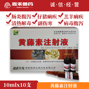 兽药黄藤素注射液兽用水针痢特灵猪牛羊血痢病毒性细菌性拉稀腹泻