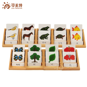 可美特蒙氏语言教具三段卡三部分认知卡三段式卡片盒动植物卡防水