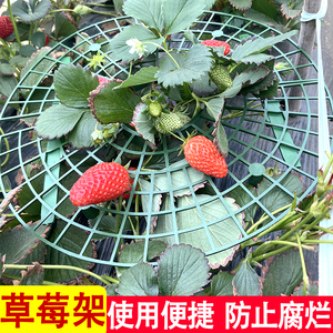 草莓支撑架家庭阳台种植托盘架绿植放倒伏植物支撑园艺用品草莓架
