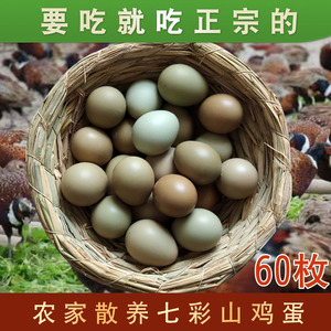 七彩山鸡蛋新鲜60枚 农家散养笨土鸡蛋绿壳蛋 宝宝辅食正宗山鸡蛋