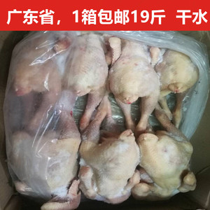 中德冷冻三黄鸡 做白切鸡熟食食材去油去内脏三黄鸡18斤/箱白条鸡