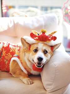 狗狗新年喜庆红帽子龙头变装帽中国风过年网红拍照舞狮帽宠物用品