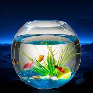 鱼缸小型桌面玻璃缸园圆形加厚家用鱼缸客厅卧室创意透明火热畅销