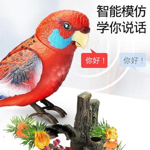 仿真小鸟电动声控感应会动会说话的宠物鹦鹉玩具儿童网红西骑士鸟