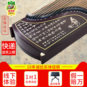 敦煌古筝698t牡丹/书法695t牡丹698o 6698jpp凤枝吟月专业演奏筝