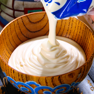 食品酒水 乳制品 酸奶 内蒙古老酸牛奶