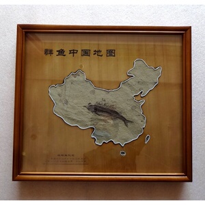 鱼化石中国地图