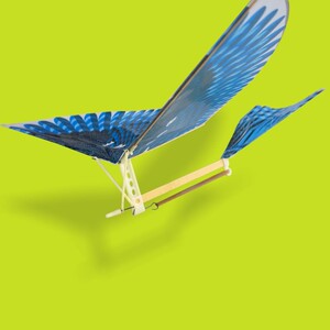 鲁班飞鸟手抛飞机航模泡沫模型会飞行老鹰儿童玩具飞机鸟橡皮筋鸟