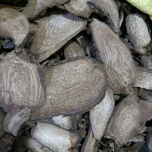 入地老鼠 白花参胭脂花根花粉头紫茉莉花根白古首花头1斤的禾花头