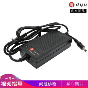 dyu大鱼电动车智行车自行车电瓶车D1D2D3S2V1原装锂电池36V充电器