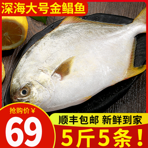 深海大金鲳鱼5斤新鲜冷冻 海捕金昌鱼海昌鱼平鱼鲜活速冻海鲜水产